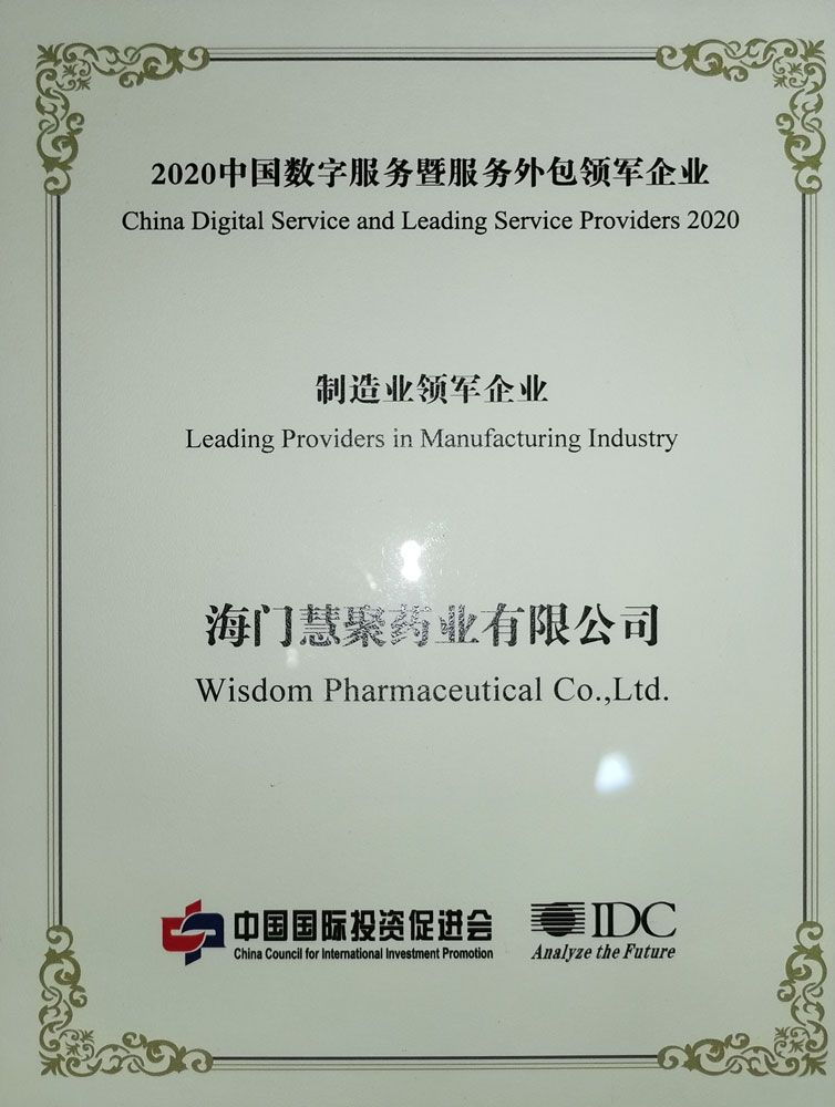 2020服务外包领军企业